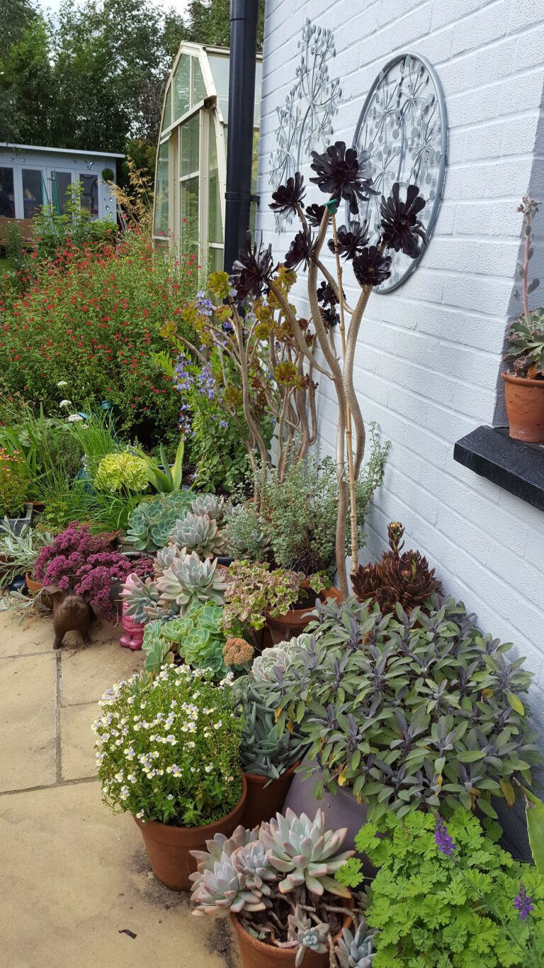 Gardening in Small Spaces