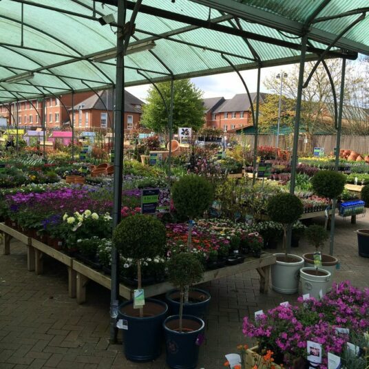 Hillier Garden Centre in Banbury