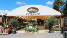 Hillier Garden Centre in Braishfield