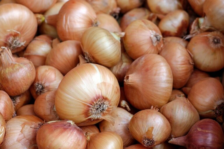 How to Grow Onions
