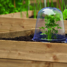 Bell Cloche Medium Pack of 3