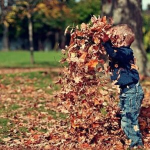 child playing in garden
