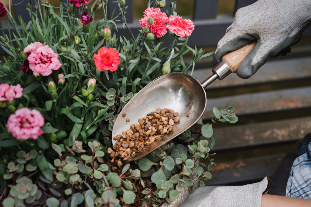 Kent and Stowe Stainless Steel Hand Potting Scoop 5060396796975 2