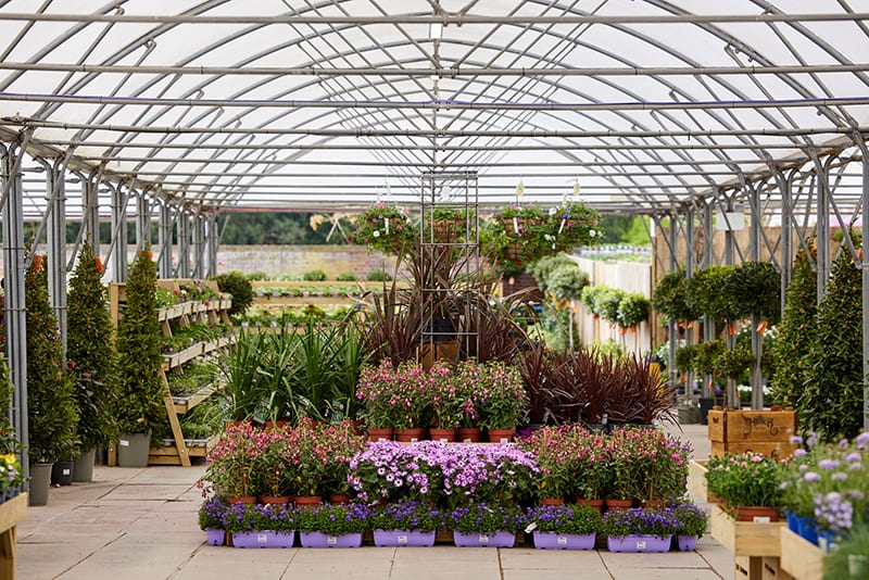 Hillier garden centre in Syon Park