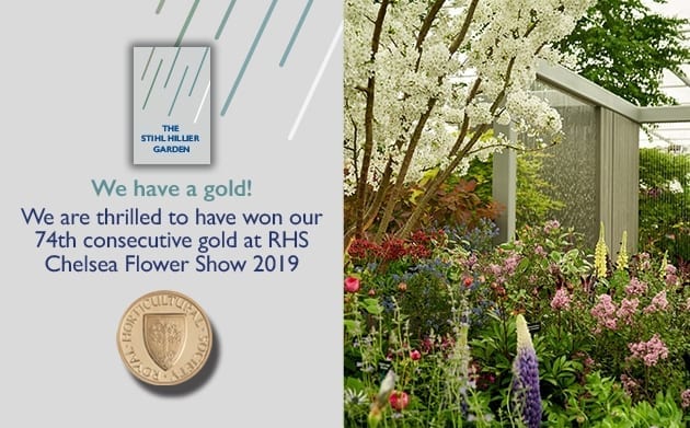 Hillier Celebrates 74th Consecutive Chelsea Gold Medal