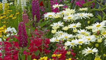 the perfectly maintained summer garden