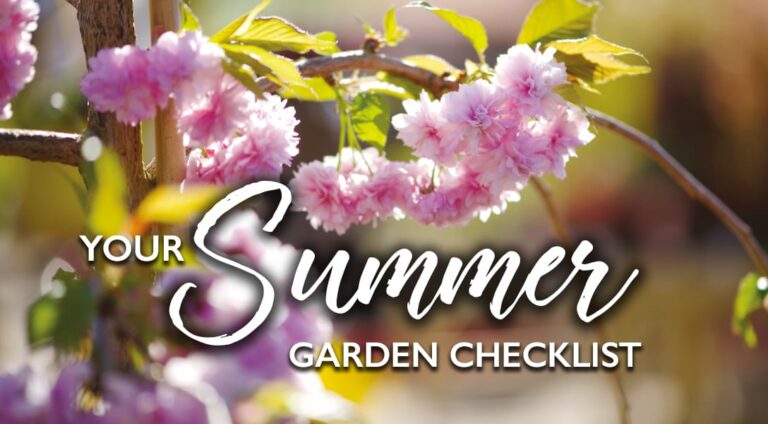 Summer Gardening Checklist