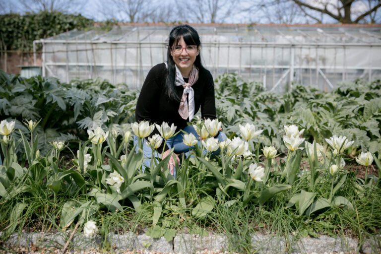 Creating a Relaxing Space with Mindful Plants