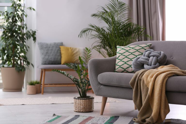 Benefits Of Caring For Houseplants