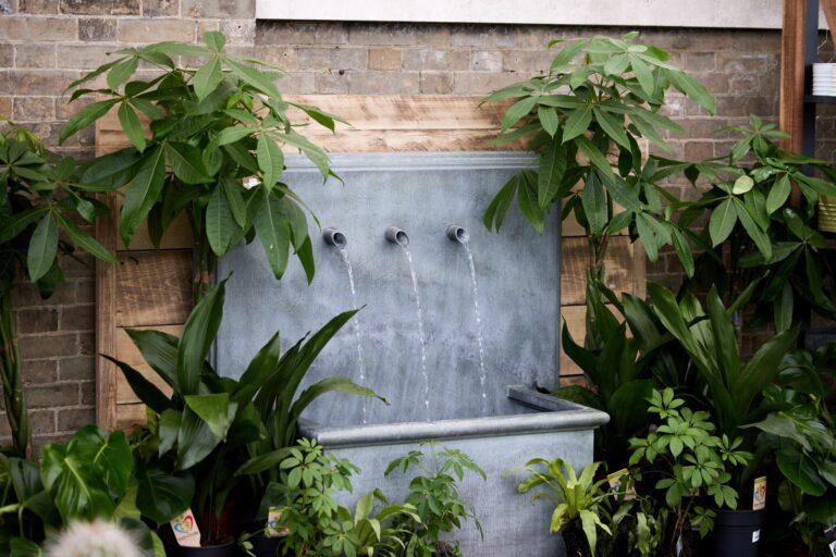 Guide to Watering Houseplants When You’re on Holiday