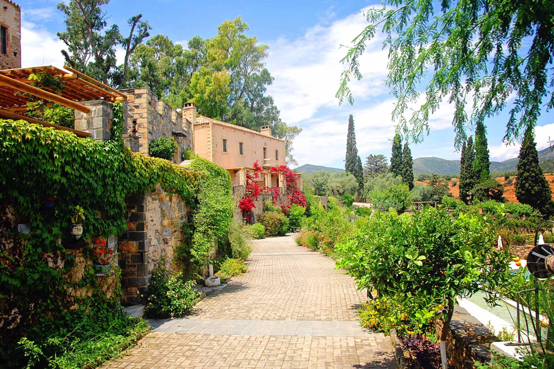 Get the Look: Mediterranean Garden