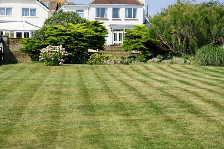 Establishing a New Lawn