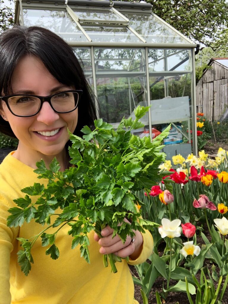 Creating a Calming Spring Garden