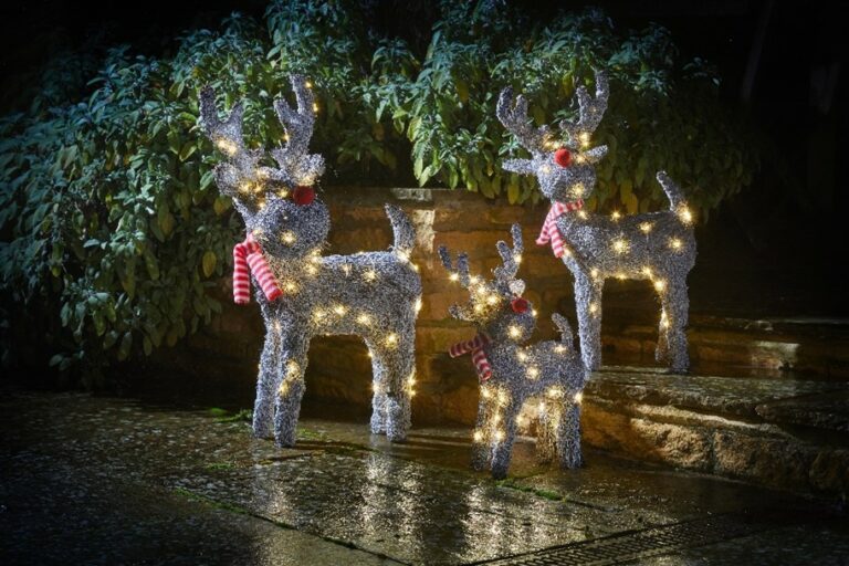 The Complete Guide to Christmas Lights