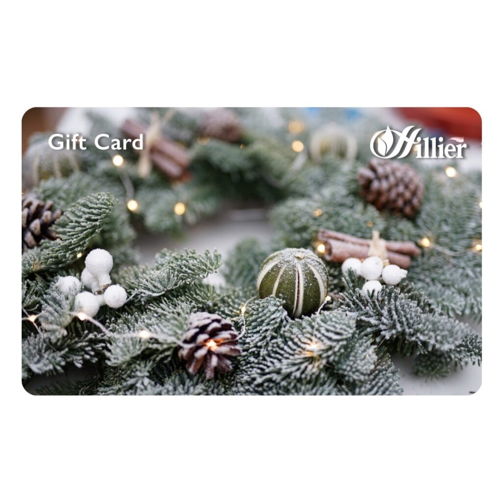 Hillier Gift Card – Garland 00360508 2