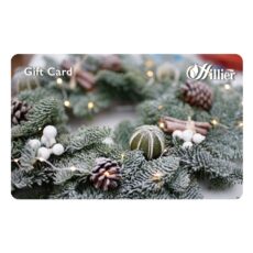 00360508 Hillier Gift Card Garland