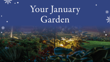 Your January Garden Web Banner