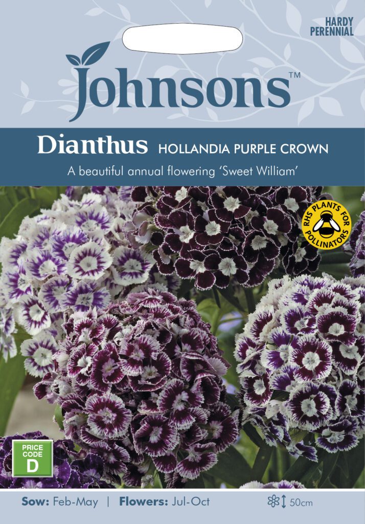 Johnsons Dianthus Hollandia Purple Crown Seeds 5010931290963