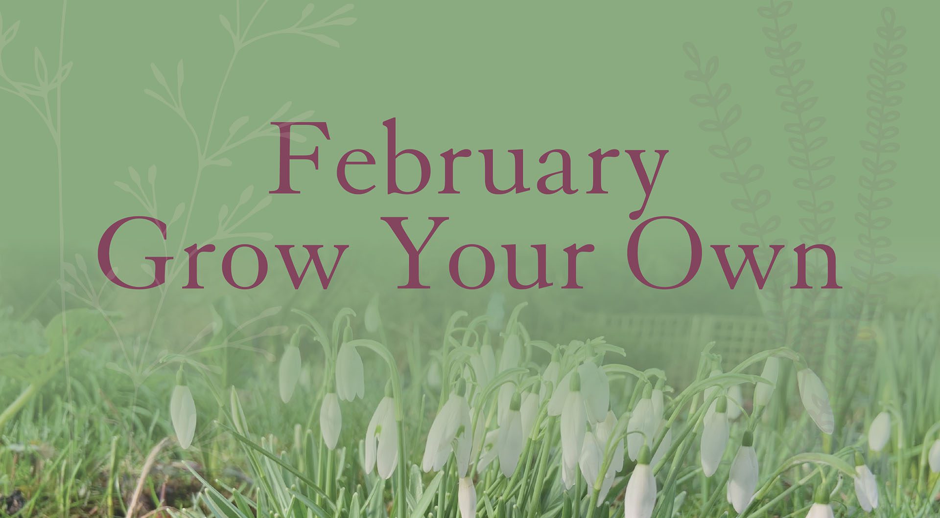 Grow Your Own February 2025 Banner 1920w