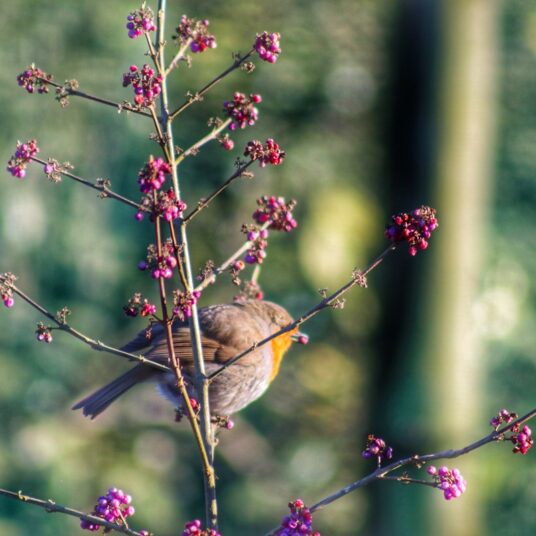 LCS Cash and Carry IMG 6248