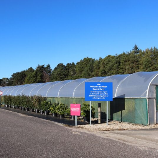 LCS Cash and Carry IMG 6273