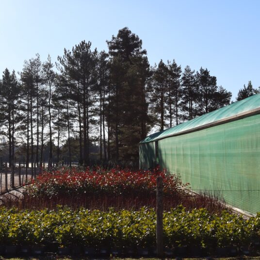 LCS Cash and Carry IMG 6279