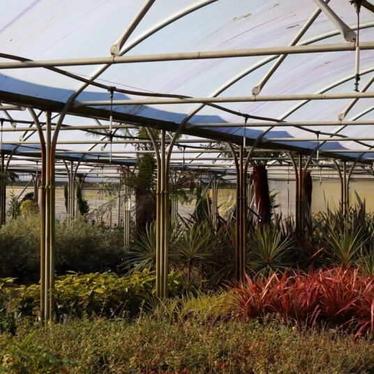 LCS Cash and Carry IMG 6295