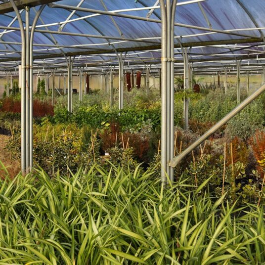 LCS Cash and Carry IMG 6305