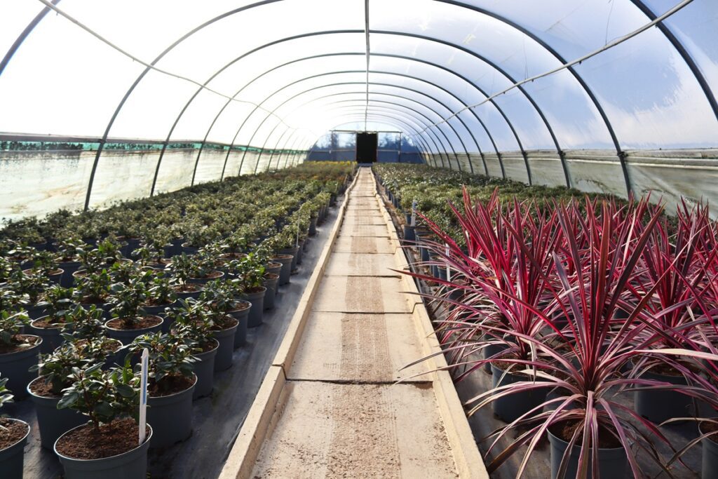 LCS Cash and Carry IMG 6354