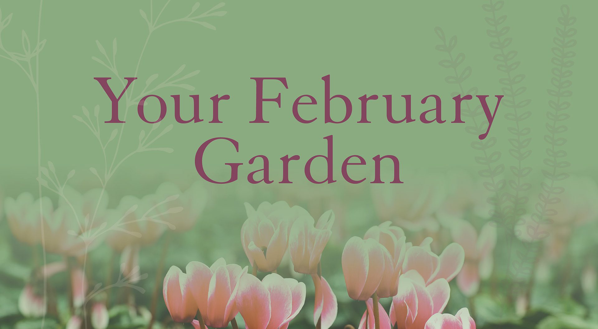 Your February Garden 2025 Banner 1920w