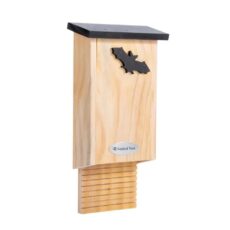 5051054256955 National Trust Glamis Bat Box