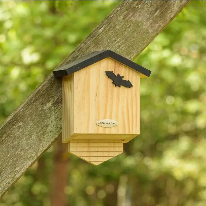 National Trust Arundel Bat Box 5051054256986