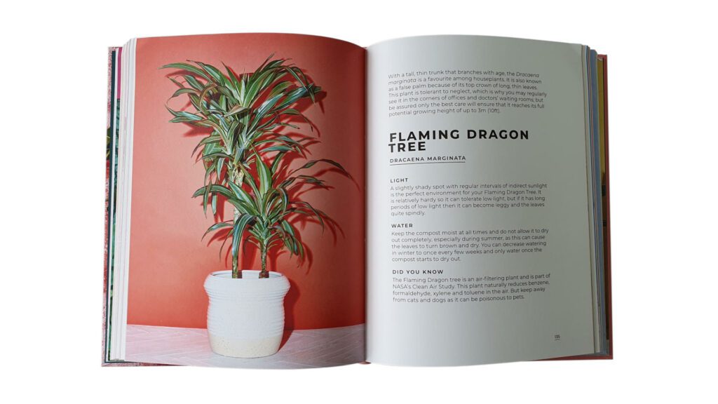 The Big Book Of Plants Open