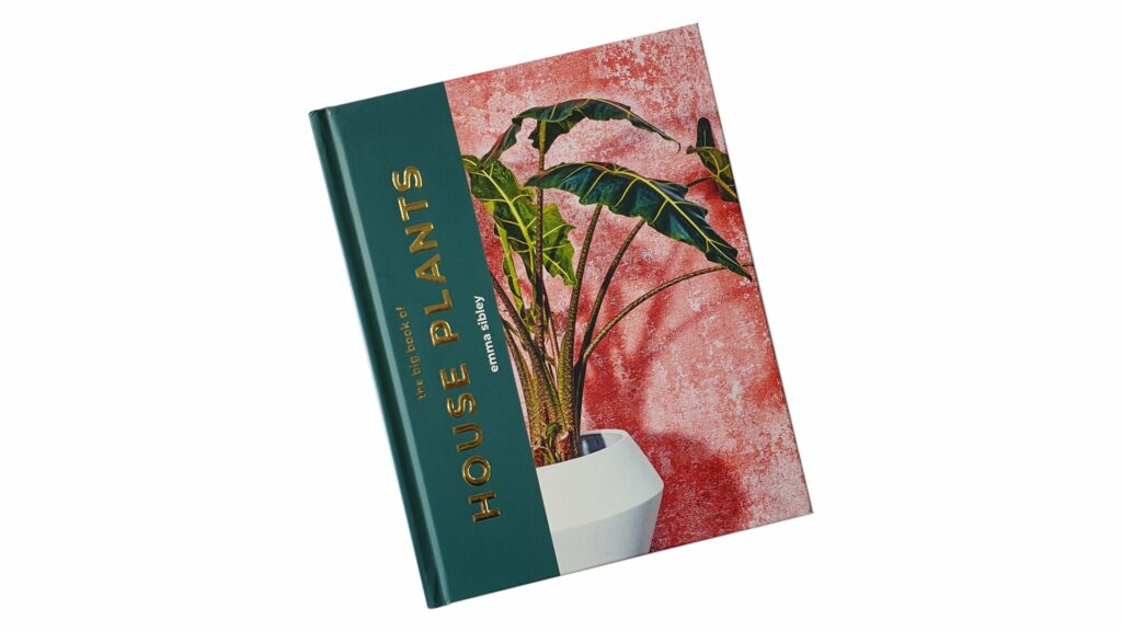 The Big Book of House Plants