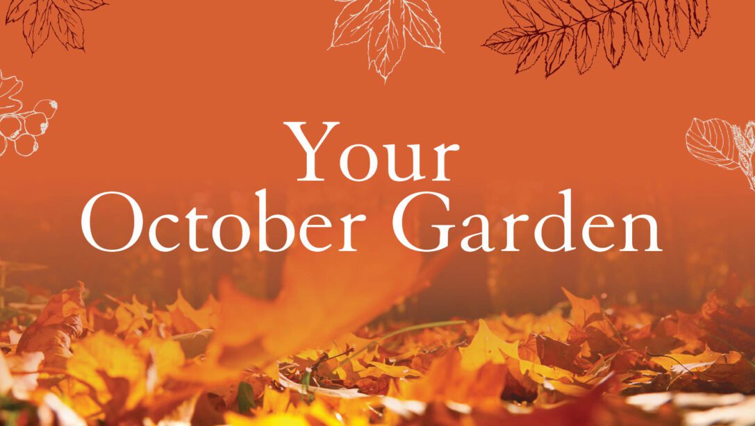 Your October Garden Banner
