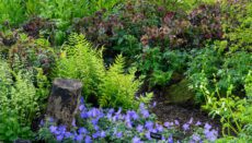 BBC Gardeners' World Live Spring Fair (4th May 2024)