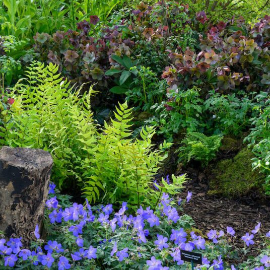 BBC Gardeners' World Live Spring Fair (4th May 2024)