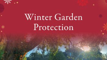 Winter Garden Protection Blog Header