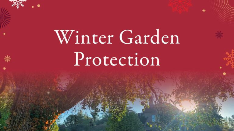 Winter Garden Protection Blog Header