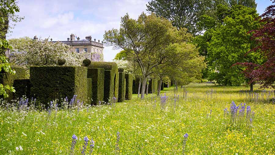 Highgrove (17th May 2016)