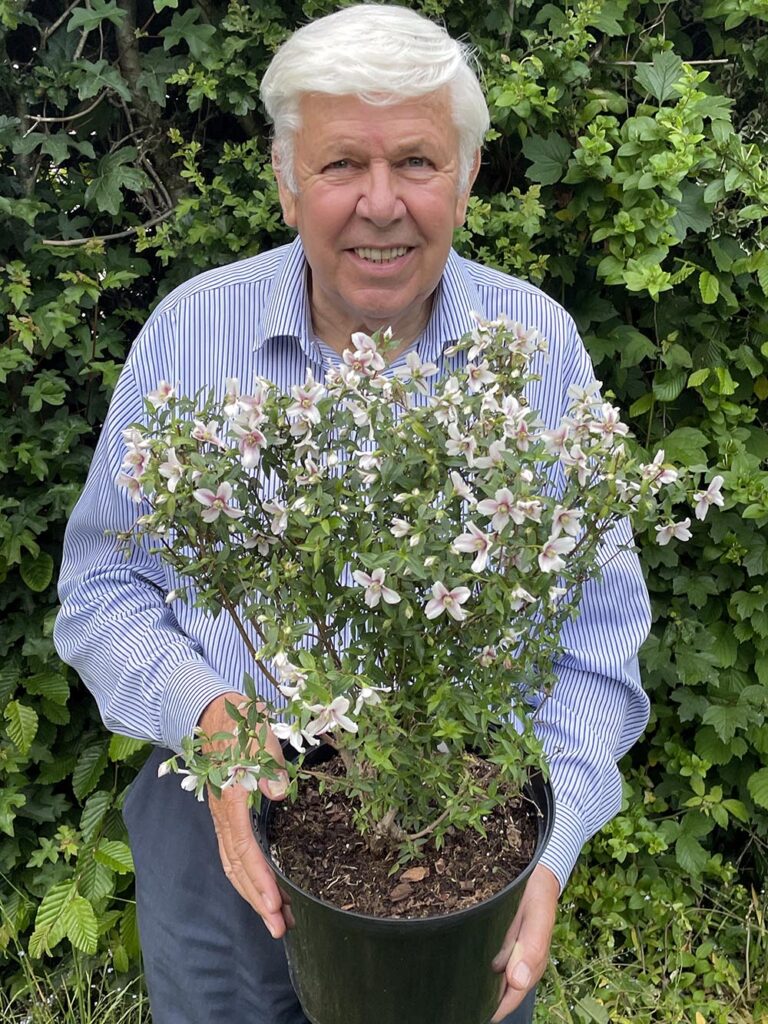 Alan Postill With Philadelphus Petite Perfume Pink