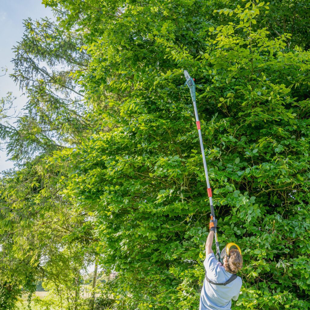 Webb 20V 50cm (20″) Cordless Long Reach Hedge Trimmer & Pruner (Tool Only) 5055661905640