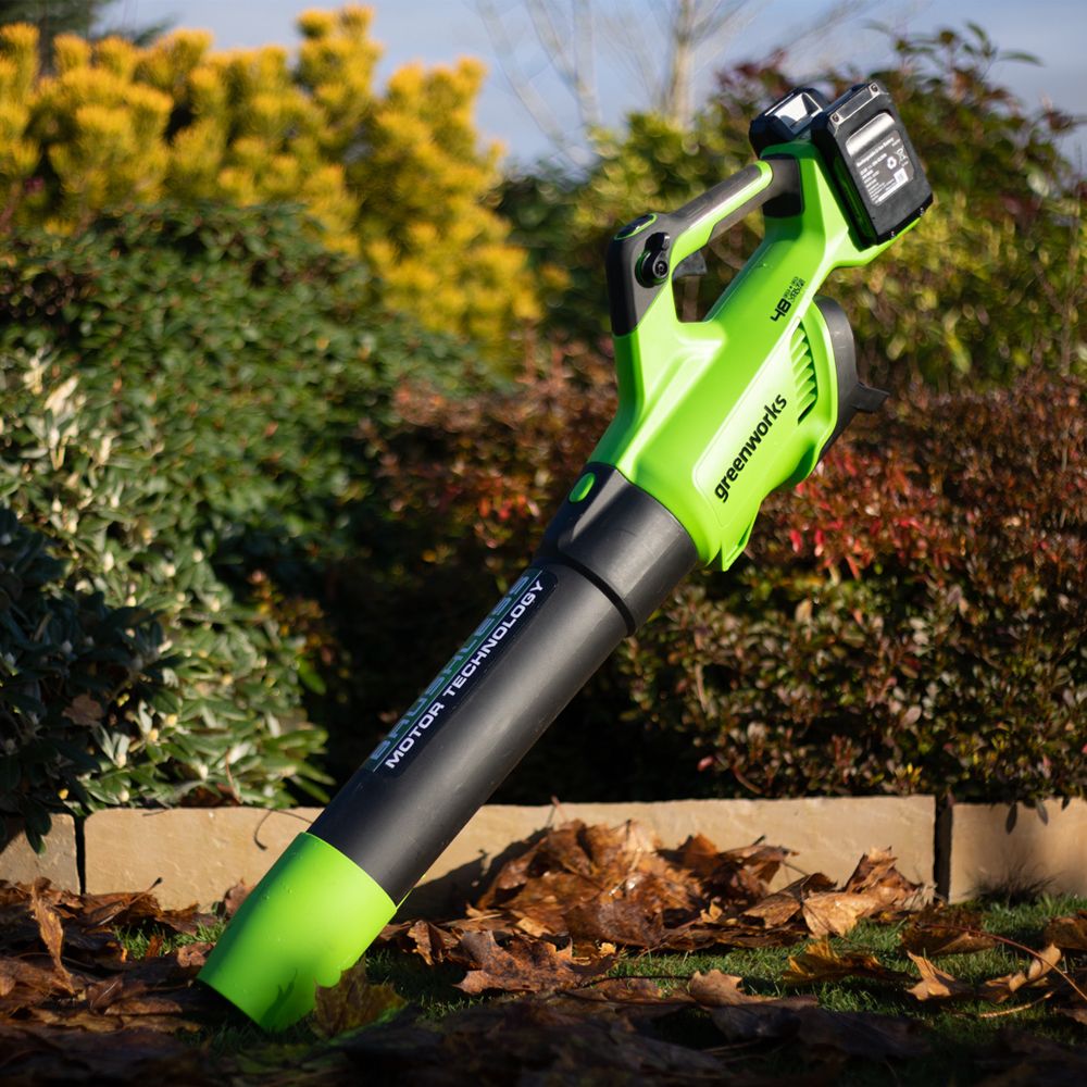 Greenworks 48V 110MPH Cordless Blower (2 x 4AH Batteries & 2A Dual Port Charger) 0841821067694