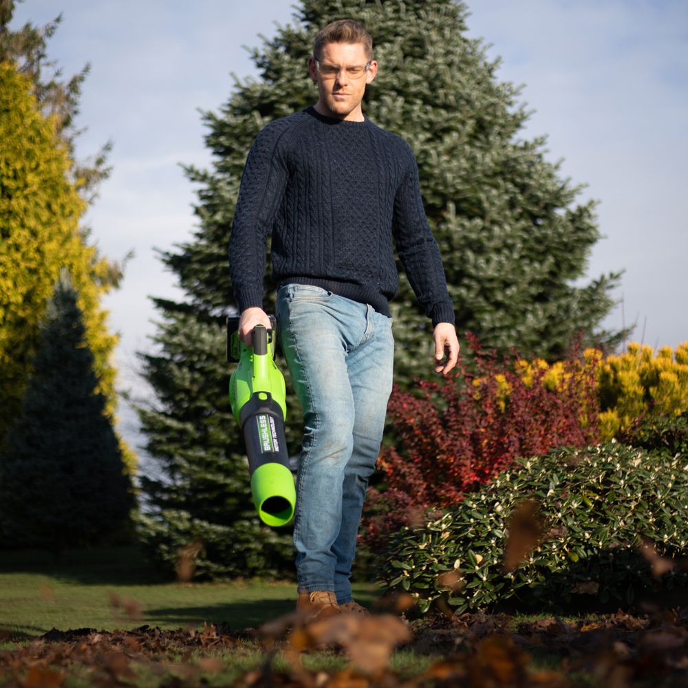 Greenworks 48V 110MPH Cordless Blower (2 x 4AH Batteries & 2A Dual Port Charger) 0841821067694