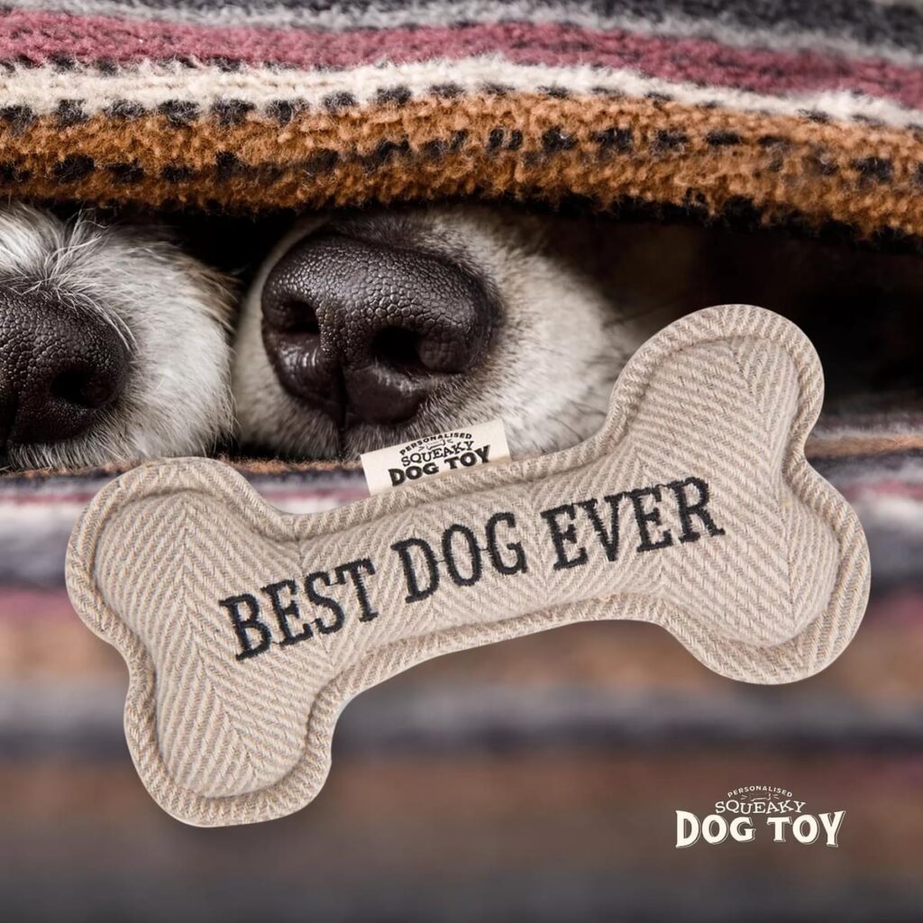 Personalised Squeaky Dog Toy – Best Dog Ever 886767682112 2