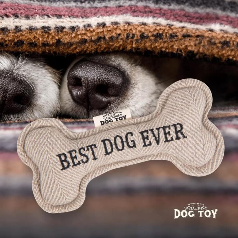 70h05190001 best dog ever ls medium.jpg