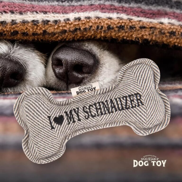 70h05190019 schnauzer ls medium.jpg