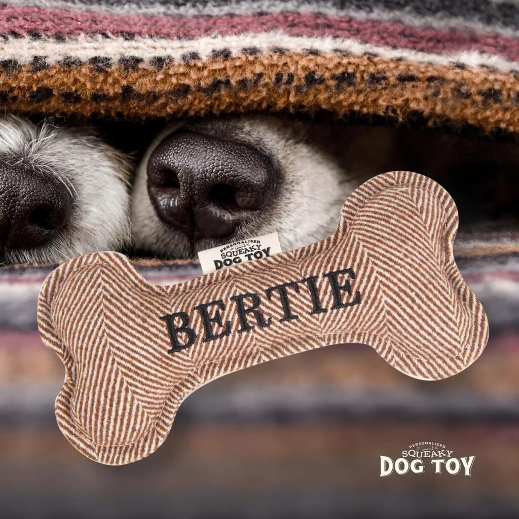 Personalised Squeaky Dog Toy – Bertie 886767682884 2