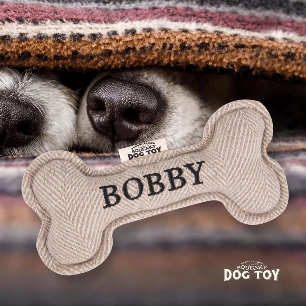 Personalised Squeaky Dog Toy – Bobby 886767682914 2