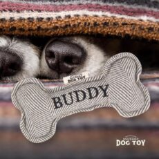 70h05190093 buddy ls medium.jpg